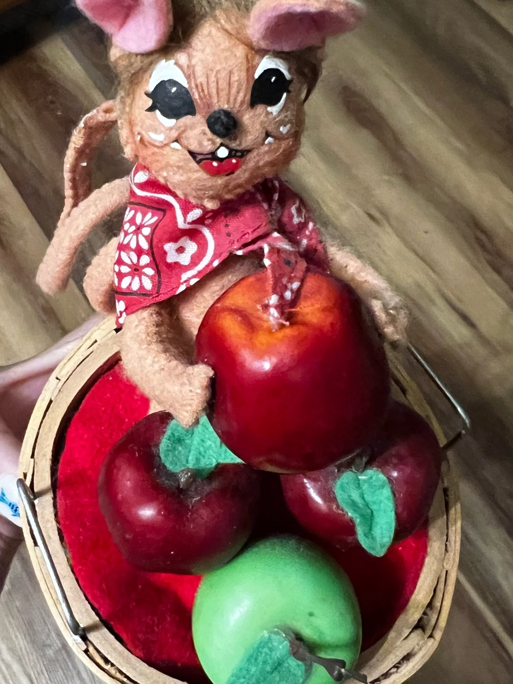 Annalee Orchard with Red Bandana and Red & Green Apples